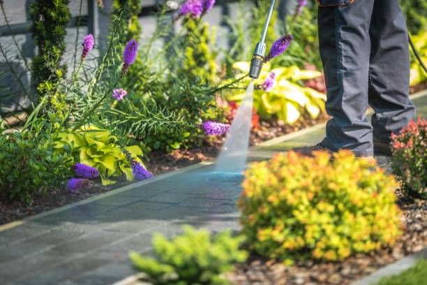 Best Pre-Holiday Cleaning  in Munsey Park, NY