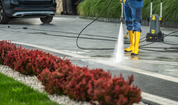 Best Dumpster Area Cleaning  in Munsey Park, NY